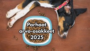Parhaat arvo-osakkeet 2025